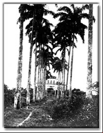 Foto da Fazenda S